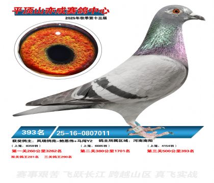 ƽ��ɽ��ɾ���393��