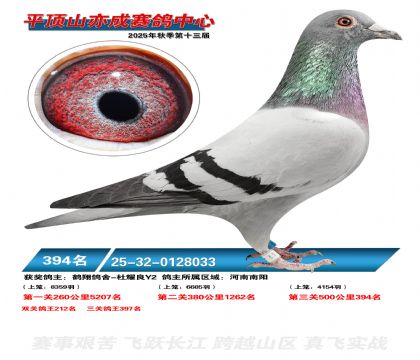 ƽ��ɽ��ɾ���394��