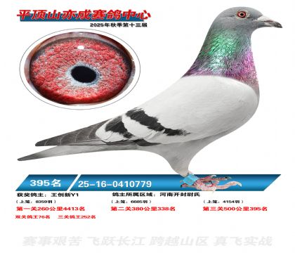 ƽ��ɽ��ɾ���395��