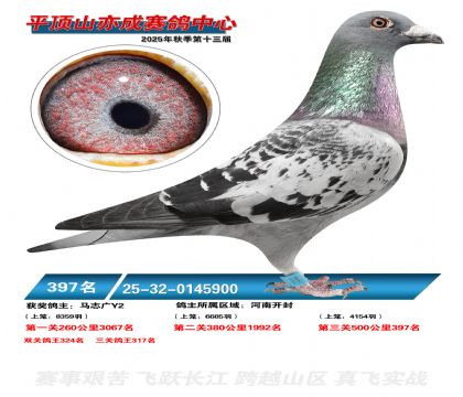 ƽ��ɽ��ɾ���397��