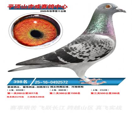 ƽ��ɽ��ɾ���398��