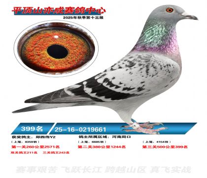 ƽ��ɽ��ɾ���399��