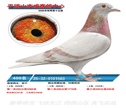 ƽ��ɽ��ɾ���400��