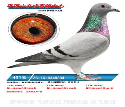 ƽ��ɽ��ɾ���401��