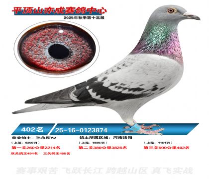 ƽ��ɽ��ɾ���402��