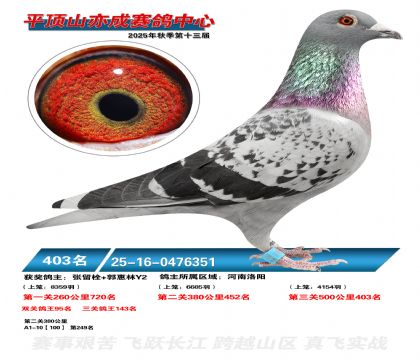 ƽ��ɽ��ɾ���403��