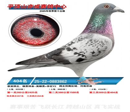 ƽ��ɽ��ɾ���404��