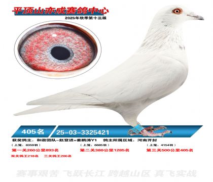 ƽ��ɽ��ɾ���405��