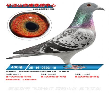 ƽ��ɽ��ɾ���406��