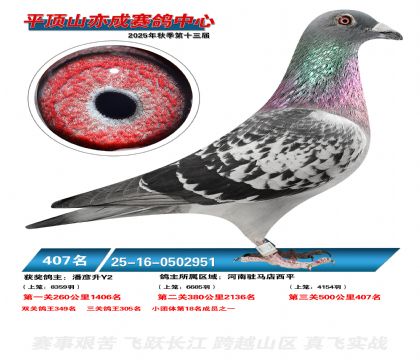 ƽ��ɽ��ɾ���407��