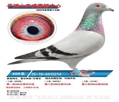 ƽ��ɽ��ɾ���409��