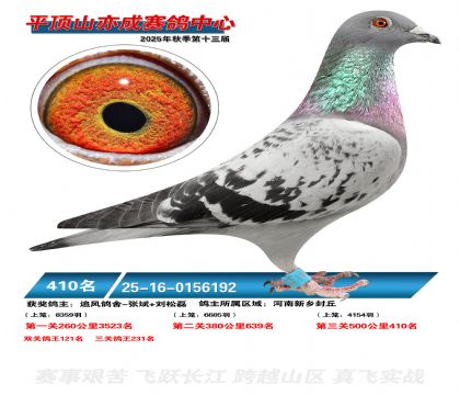 ƽ��ɽ��ɾ���410��