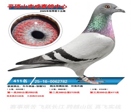 ƽ��ɽ��ɾ���411��