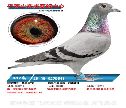 ƽ��ɽ��ɾ���412��