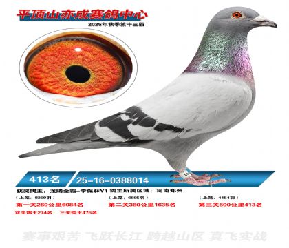 ƽ��ɽ��ɾ���413��