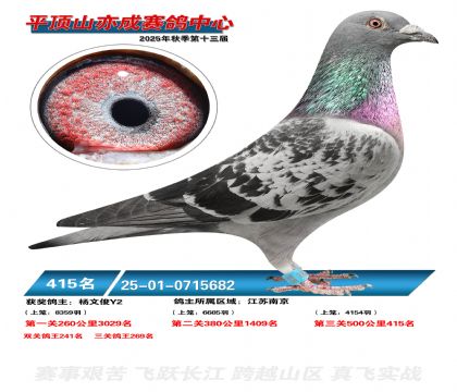 ƽ��ɽ��ɾ���415��