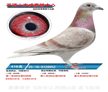 ƽ��ɽ��ɾ���416��