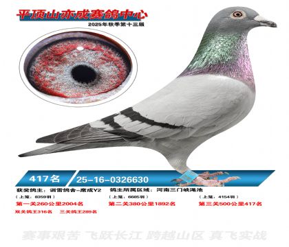 ƽ��ɽ��ɾ���417��