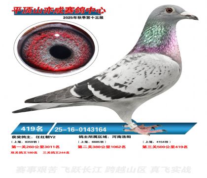 ƽ��ɽ��ɾ���419��