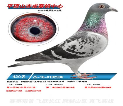 ƽ��ɽ��ɾ���420��