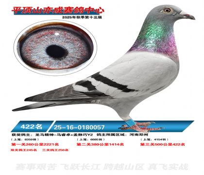 ƽ��ɽ��ɾ���422��