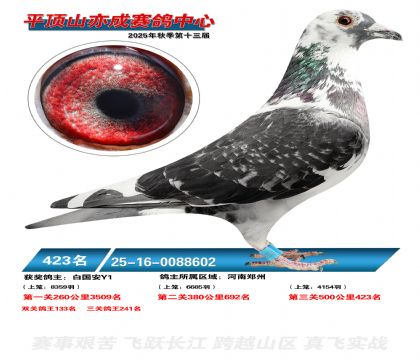 ƽ��ɽ��ɾ���423��