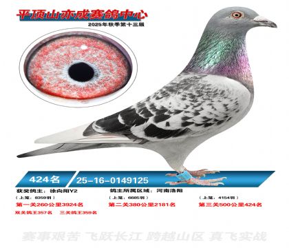 ƽ��ɽ��ɾ���424��