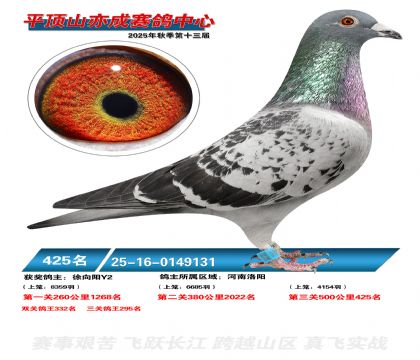 ƽ��ɽ��ɾ���425��