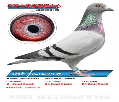 ƽ��ɽ��ɾ���426��