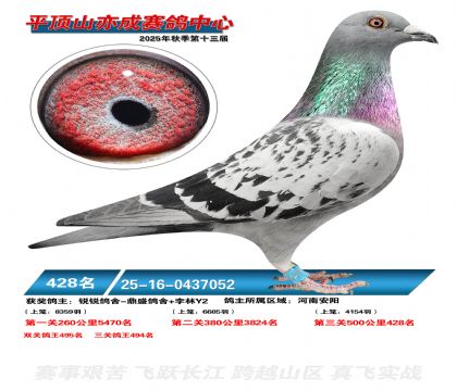 ƽ��ɽ��ɾ���428��