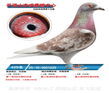 ƽ��ɽ��ɾ���429��