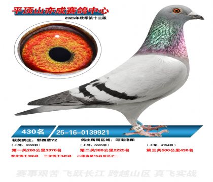 ƽ��ɽ��ɾ���430��