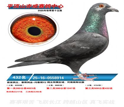 ƽ��ɽ��ɾ���432��