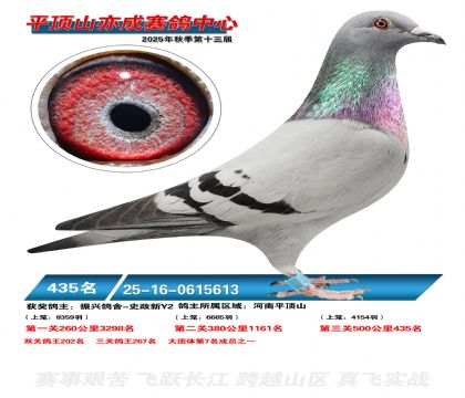 ƽ��ɽ��ɾ���435��