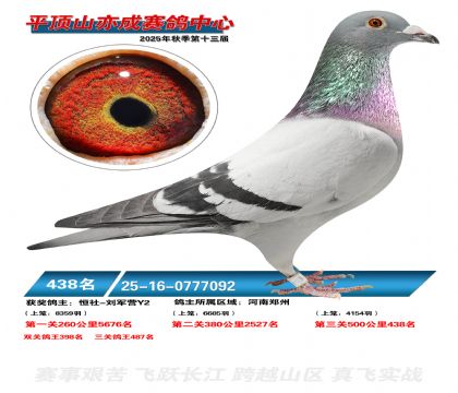 ƽ��ɽ��ɾ���438��