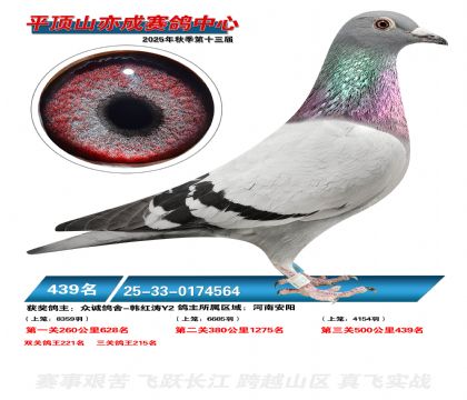 ƽ��ɽ��ɾ���439��