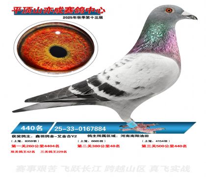 ƽ��ɽ��ɾ���440��