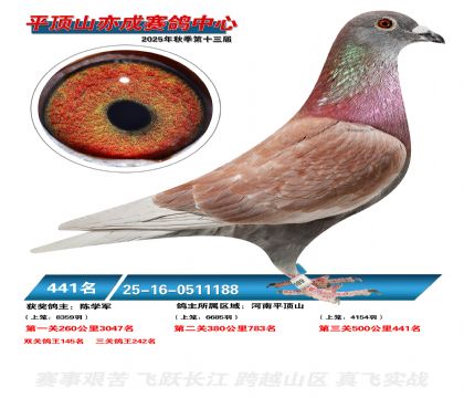 ƽ��ɽ��ɾ���441��