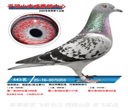 ƽ��ɽ��ɾ���443��