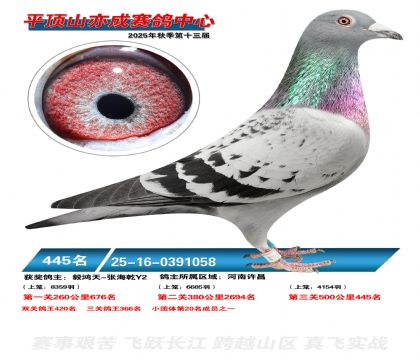 ƽ��ɽ��ɾ���445��