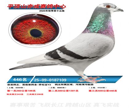 ƽ��ɽ��ɾ���446��