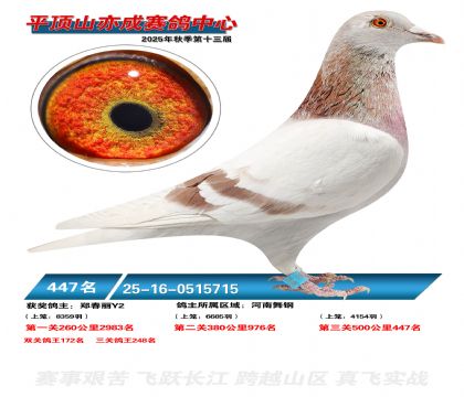 ƽ��ɽ��ɾ���447��