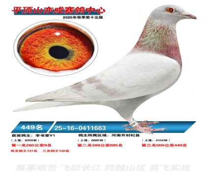 ƽ��ɽ��ɾ���449��