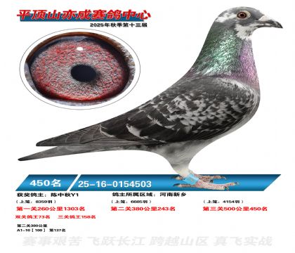 ƽ��ɽ��ɾ���450��