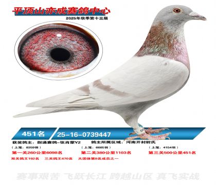 ƽ��ɽ��ɾ���451��