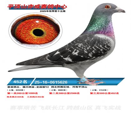 ƽ��ɽ��ɾ���452��