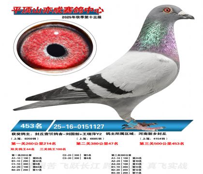 ƽ��ɽ��ɾ���453��