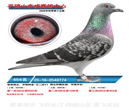 ƽ��ɽ��ɾ���454��