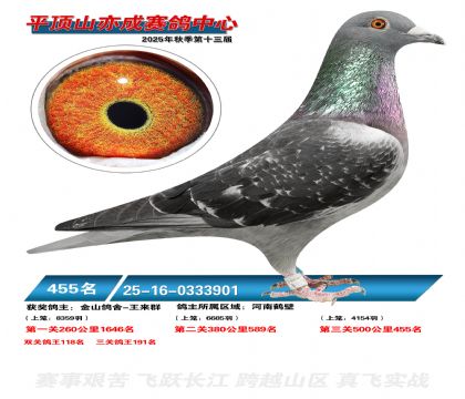 ƽ��ɽ��ɾ���455��