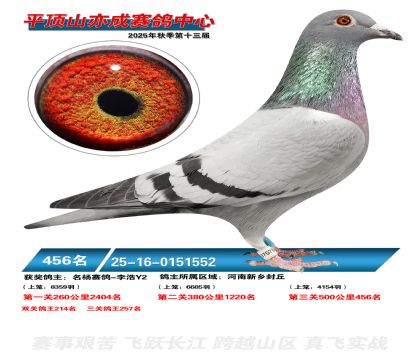 ƽ��ɽ��ɾ���456��